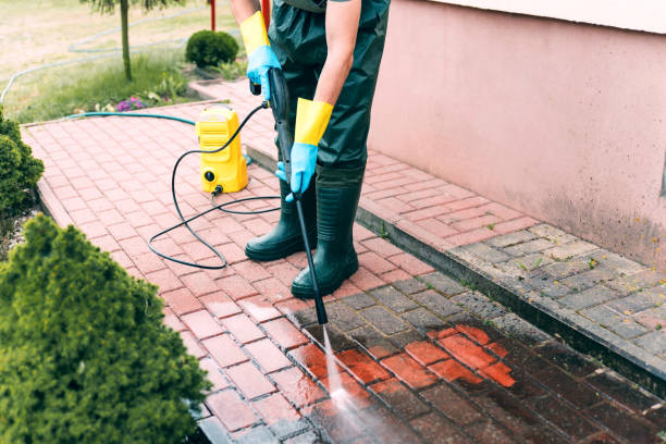Best Graffiti Removal Services in Elm City, NC